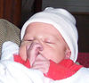 Filename=Rowan_Jan_28a.JPG
Filesize=53KB
Dimensions=499x465
Date added=Oct 07, 2007 Rowan_Jan_28a.JPG