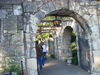 DSCN1342.JPG