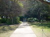 DSCN1421.JPG