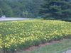 DSCN0540.JPG