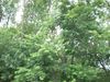 DSCN0541.JPG
